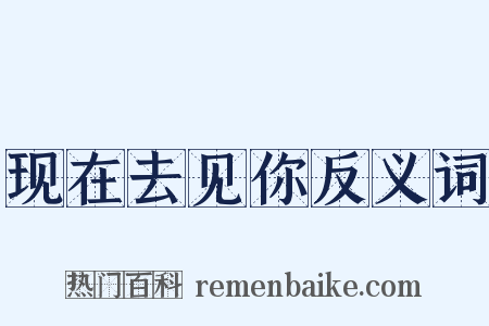 现在去见你反义词是什么意思的图片